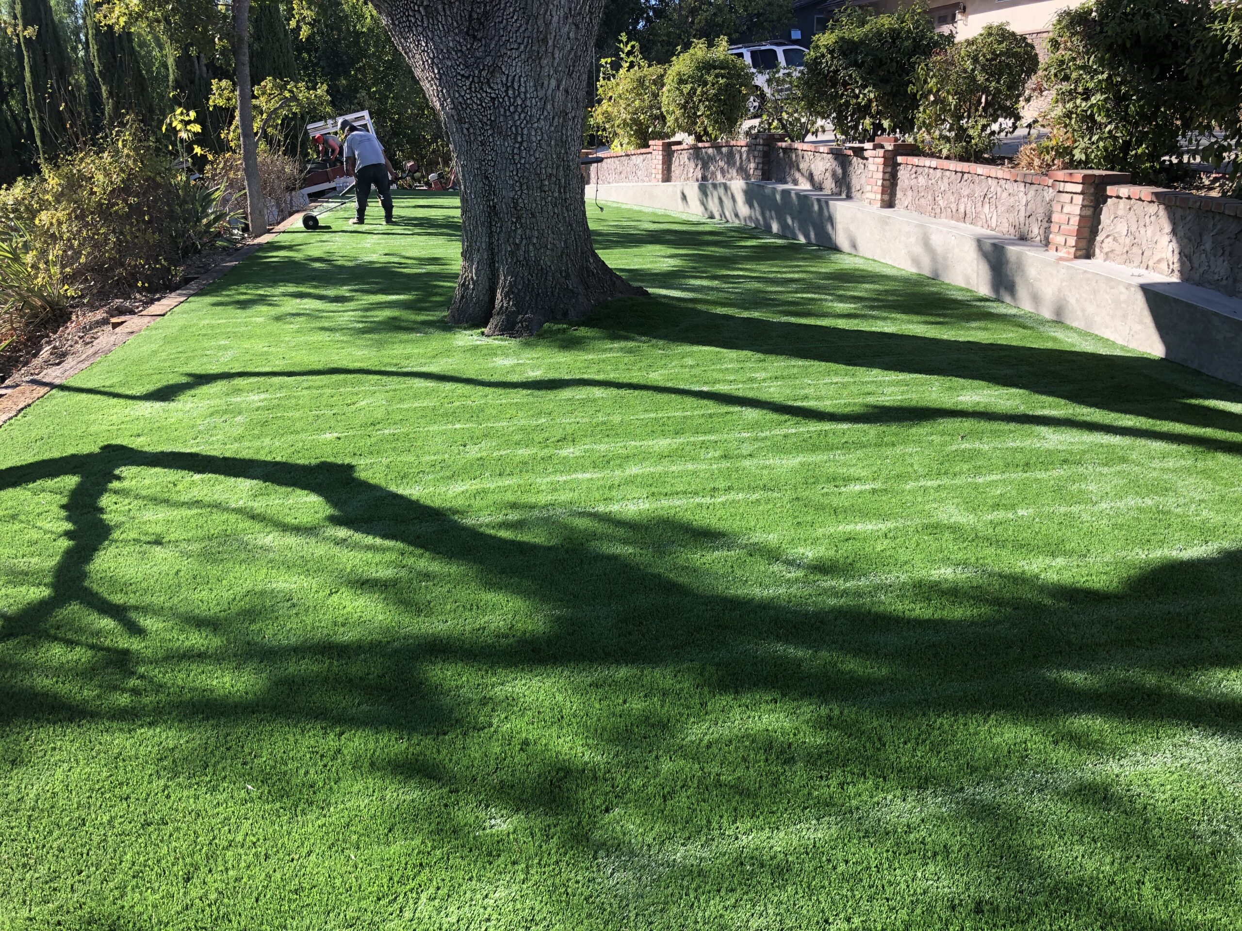 The Perfect Lawn is Just a Phone Call Away