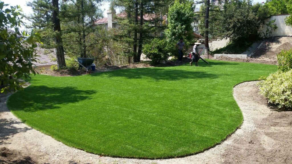 We can help keep your turf looking its best